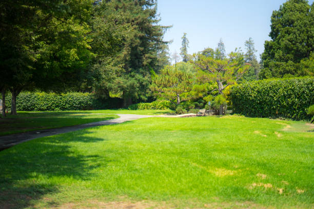 istock view  of Garden 1024882968