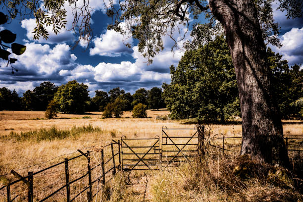 footpath rural warwickshire countryside uk summer grassland