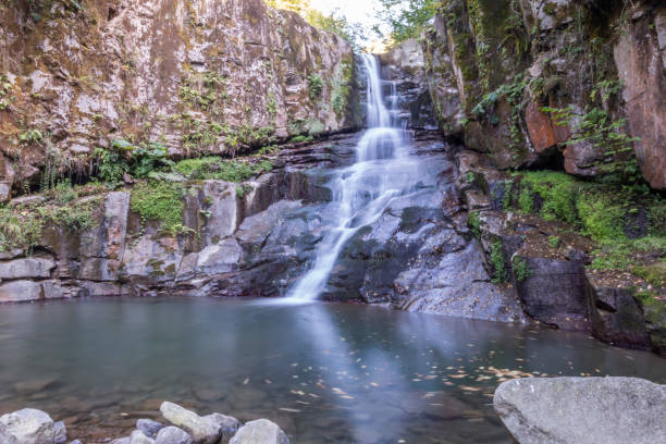 водопады зонгулдак эрегли каялидере - waterfall tropical rainforest water jamaica стоковые фото и изображения