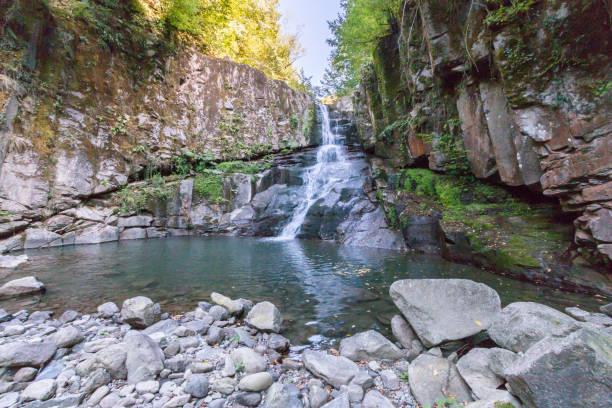 водопады зонгулдак эрегли каялидере - waterfall tropical rainforest water jamaica стоковые фото и изображения