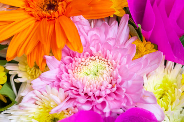 istock Bunch of flowers for background 1024917558