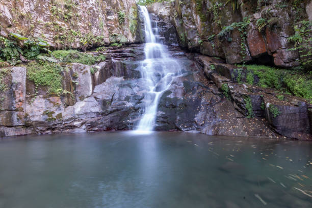 водопады зонгулдак эрегли каялидере - waterfall tropical rainforest water jamaica стоковые фото и изображения
