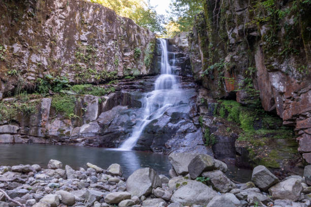 водопады зонгулдак эрегли каялидере - waterfall tropical rainforest water jamaica стоковые фото и изображения