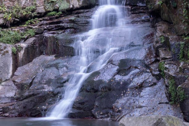 водопады зонгулдак эрегли каялидере - waterfall tropical rainforest water jamaica стоковые фото и изображения