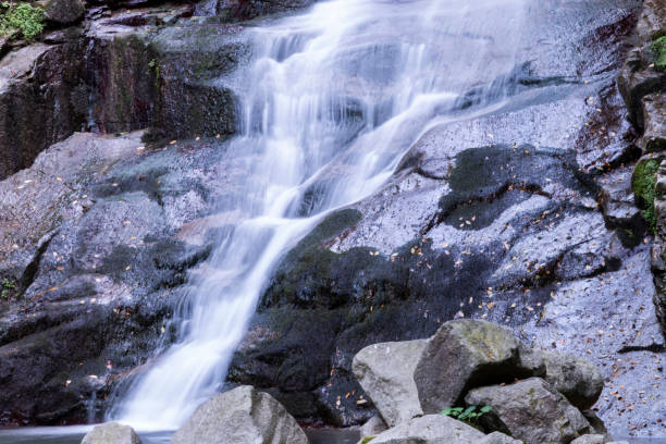 водопады зонгулдак эрегли каялидере - waterfall tropical rainforest water jamaica стоковые фото и изображения