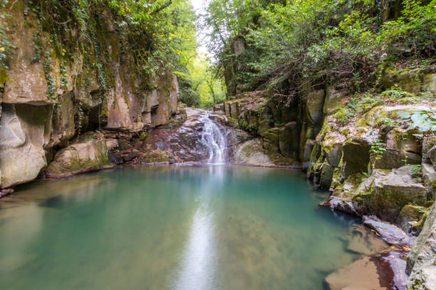 водопады зонгулдак эрегли каялидере - waterfall tropical rainforest water jamaica стоковые фото и изображения