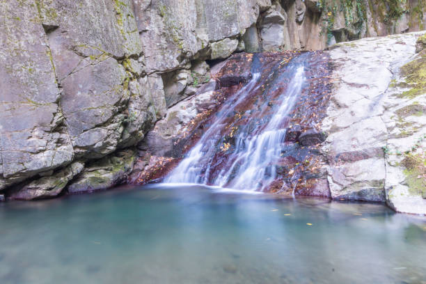 водопады зонгулдак эрегли каялидере - waterfall tropical rainforest water jamaica стоковые фото и изображения