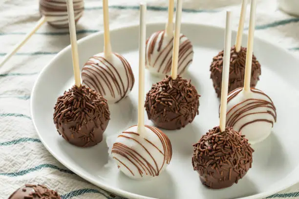 Sweet Homemade Chocolate and Vanilla Cake Pops on a Plate