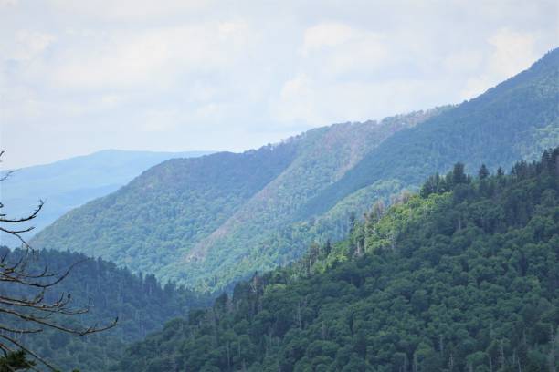 istock Smoky Mountains National Park 1024946748