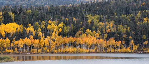 istock Kolob Reservoir Autumn 1024985330