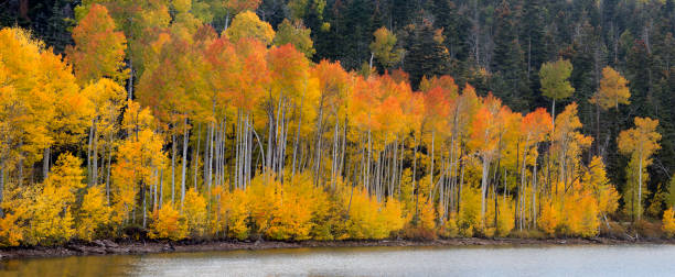 istock Kolob Reservoir Autumn 1024985374