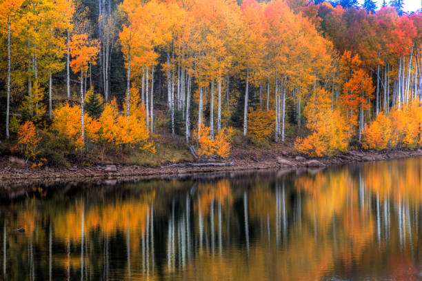 istock Kolob Reservoir Autumn 1024987138