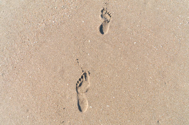 istock Footprints in golden sand 1025021436