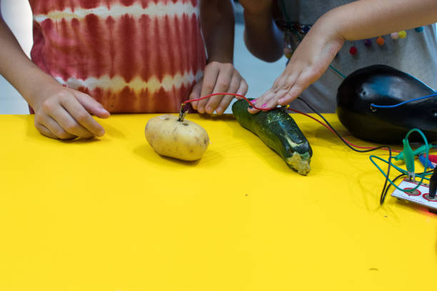 piano de fruta con los niños. actividad de educación de la madre permiten niños a tocar música con frutas y verduras. - making craftsperson italian music musical instrument fotografías e imágenes de stock