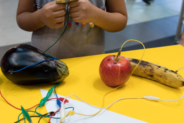 obst-klavier mit kindern. stem bildung aktivität erlauben kindern, musizieren mit obst und gemüse. - child building activity construction engineer stock-fotos und bilder