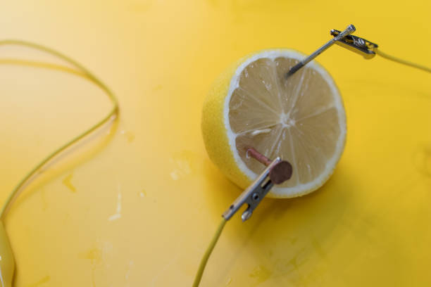 Lemon battery STEM activity with potatoes, lemons, alligator clips, zinc and copper nails. stock photo