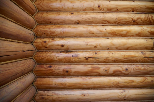 Texture, background of a wall of logs with ropes