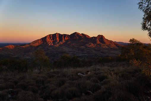 The early morning red light of a desert sunrise shine on Mount Sonder