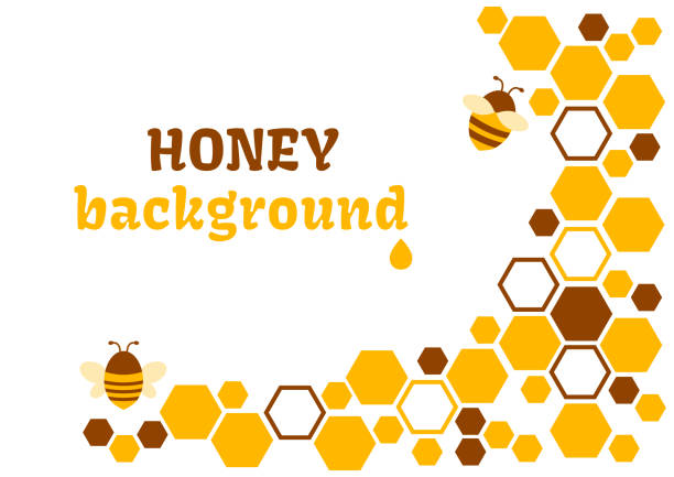 ilustrações de stock, clip art, desenhos animados e ícones de honey abstract background with honeycomb and bee. vector illustration - colmeia ilustrações