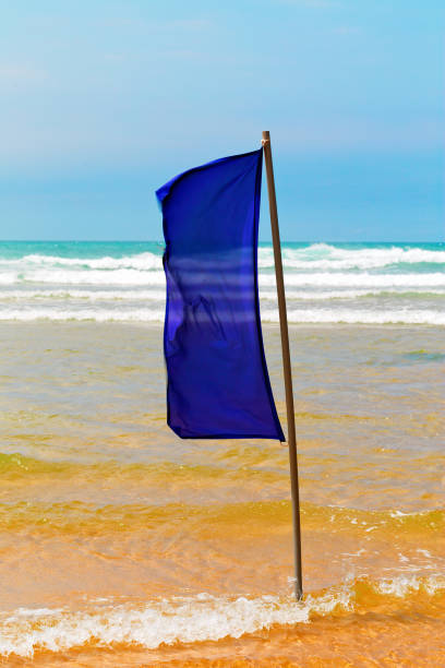istock Blue flag on the beach 1025071384