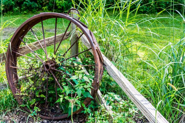 Old tractor wheel by fence stock photo