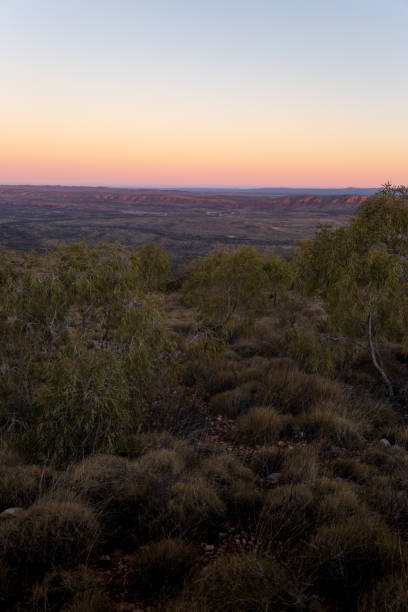 istock Beautiful pink and yellow sunset illuminates spinifex grass 1025076596