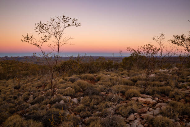 istock Incredible sunset colours in the Australian Outback desert 1025076664