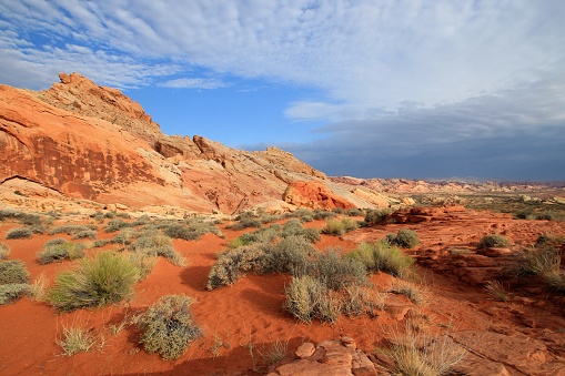 Various scenes of red rock deserts, white sands, and big blue western skies.