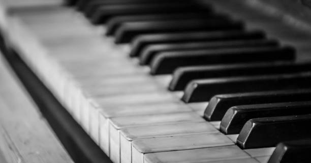 istock Close-Up Of Piano 1025092836