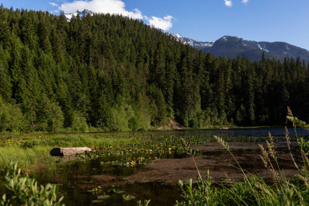 istock One Mile Lake in Pemberton, BC 1025097456