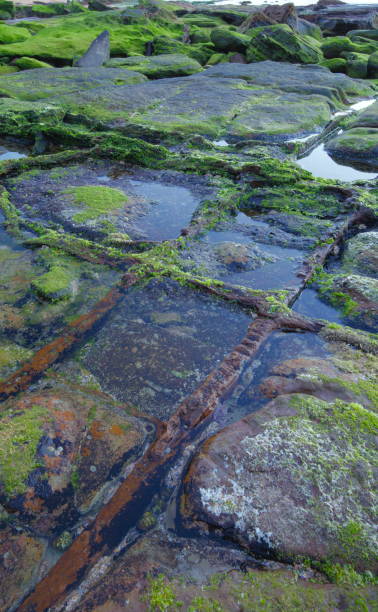 istock Natural cross line on Rock 1025103138
