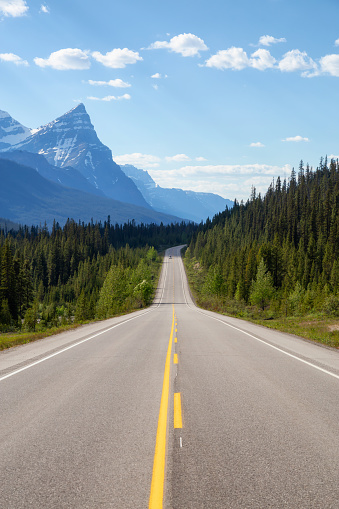 Scenic road in the Canadian Rockies during a vibrant sunny summer day. Taken in Icefields Parkway, Banff National Park, Alberta, Canada.