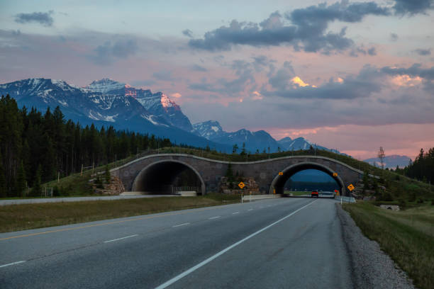 istock Scenic Road in Banff 1025112700