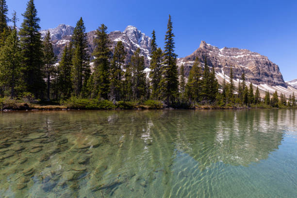 istock Bow Lake, Banff National Park 1025113028
