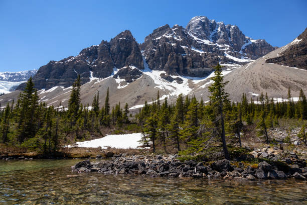 istock Kayaking in Bow Lake, Banff National Park 1025113202