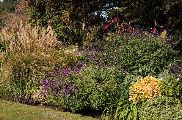 istock Garden beds with autumn blooms 1025119336