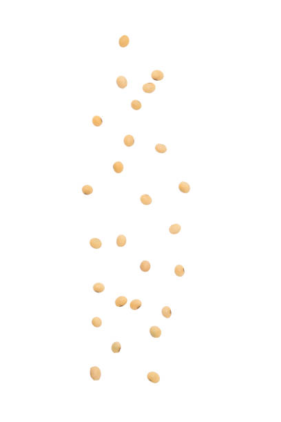 大豆の分離の白い背景に落ちる - falling beans ストックフォトと画像