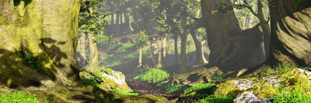 istock path through the woods, magical sunlight in fantasy forest 1025130630