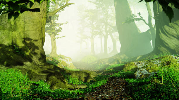 istock path through magical forest at sunrise, mysterious old trees, fantasy landscape 1025130864