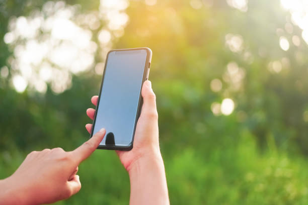 istock Copy space lady hand using smartphone with green nature abstract background. 1025141746
