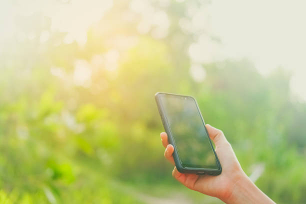 istock Copy space lady hand using smartphone with green nature abstract background. 1025141774