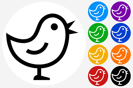 Singing Bird Icon. The icon is black and is placed on a round blue vector button. The button is flat white color and the background is light. The composition is simple and elegant. The vector icon is the most prominent part if this illustration. There are eight alternate button variations on the right side of the image. The alternate colors are orange, red, purple, yellow, black, green, blue and indigo.