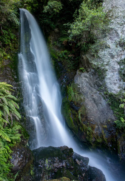istock Waterfall and fast moving rapids in lush native bush 1025155042