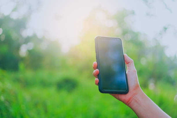 istock Copy space lady hand using smartphone with green nature abstract background. 1025157824