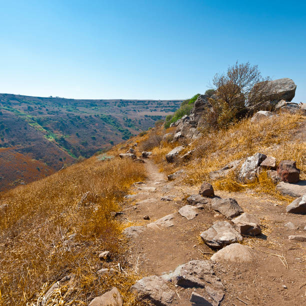 istock Nature reserve located in the Golan Heights 1025158900