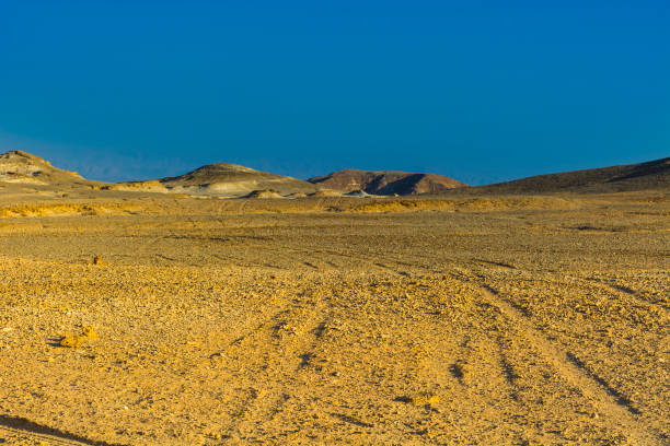 istock Landscape in the Southern Israel. 1025158902