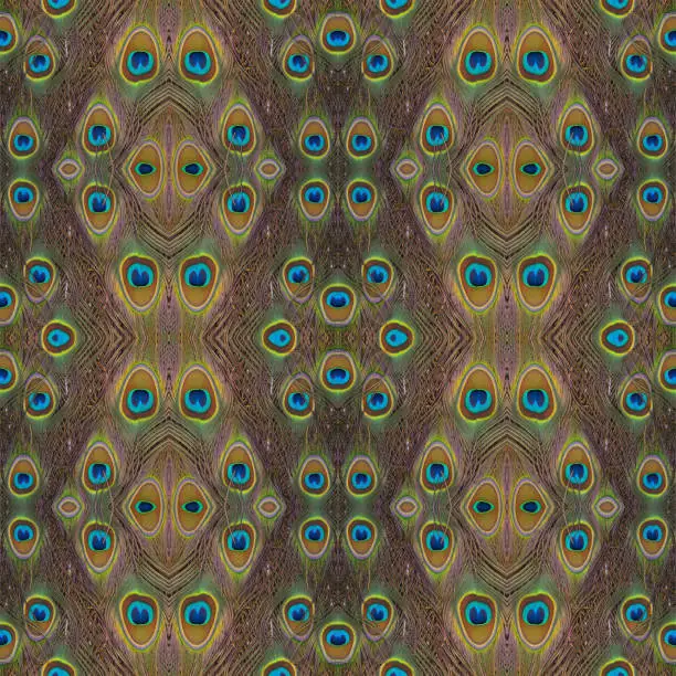 Photo of Beautiful pattern abstract background texture made of peacock feathers (Green peafowl)