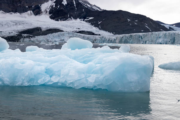 istock Ice floating around the glacier Burgerbukta, Svalbard. 1025179302