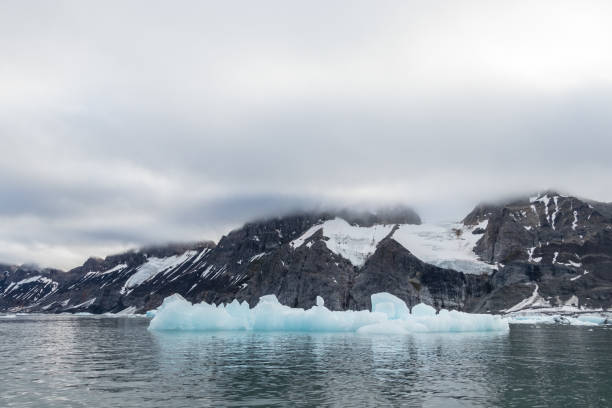 istock Ice floating around the glacier Burgerbukta, Svalbard. 1025182566