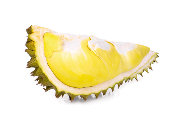 pokrojone owoce durian wyizolowane na białym tle - 3693 zdjęcia i obrazy z banku zdjęć